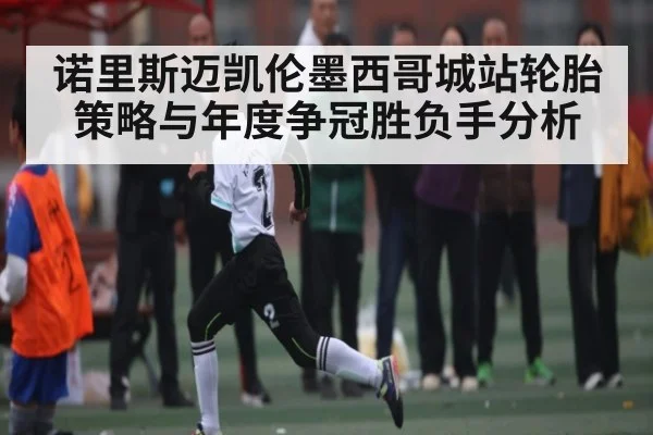 诺里斯迈凯伦墨西哥城站轮胎策略与年度争冠胜负手分析