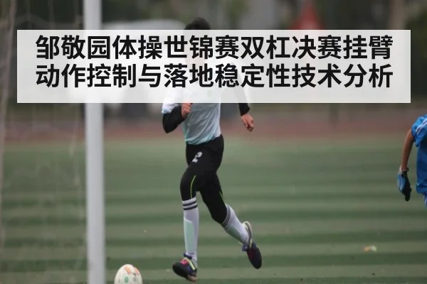 邹敬园体操世锦赛双杠决赛挂臂动作控制与落地稳定性技术分析(kaiyun)